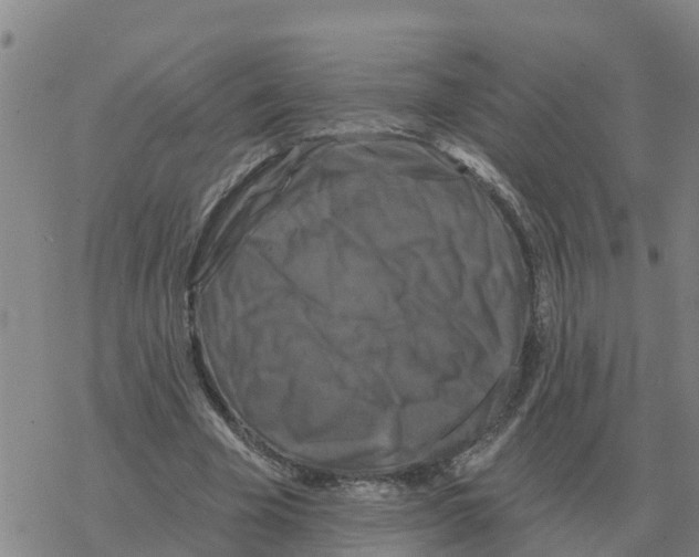 X0000068740585200605262053