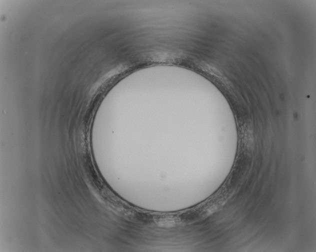 X0000068740587200605262053