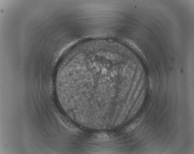 X0000068740588200605262053