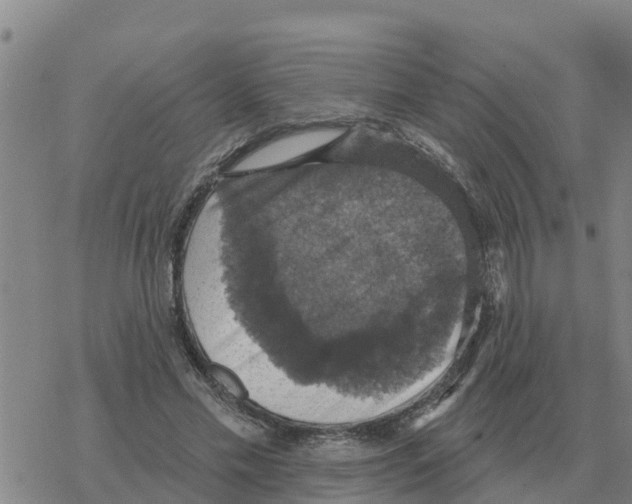 X0000068740589200605262053