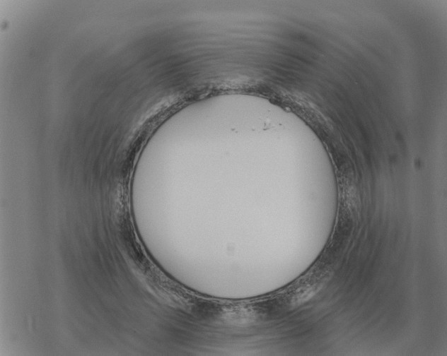 X0000068740591200605262053