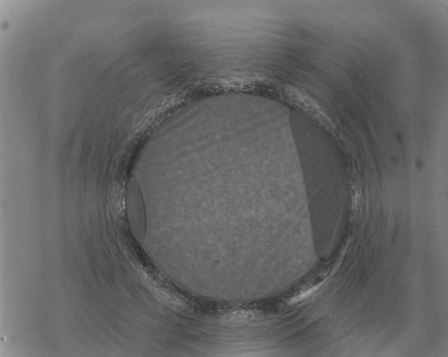 X0000068740593200605262053