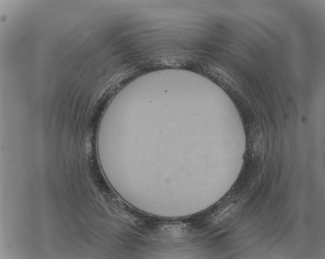 X0000068740595200605262053