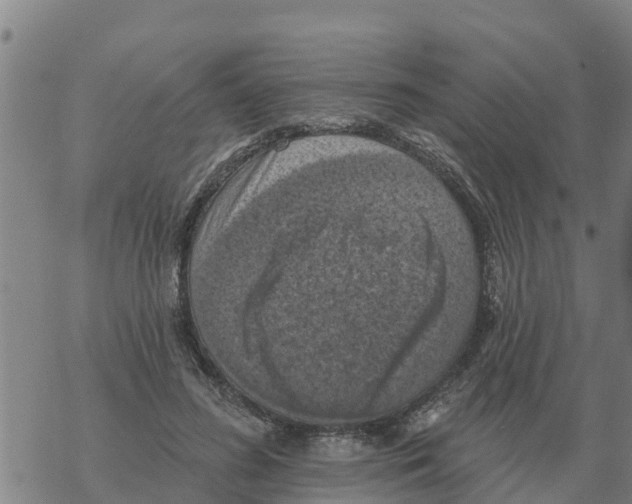 X0000068740596200605262053