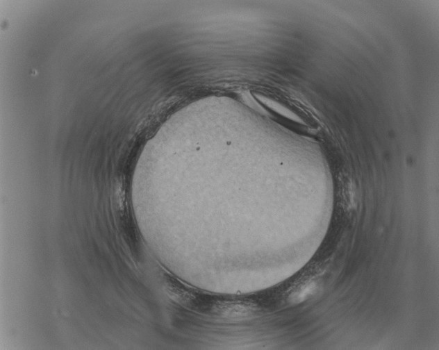 X0000068740597200605262053