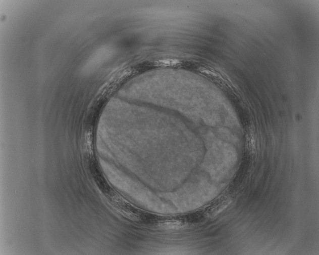 X0000068740598200605262053