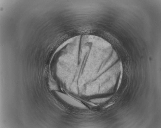 X0000068740601200605262052