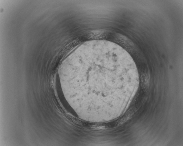 X0000068740602200605262052