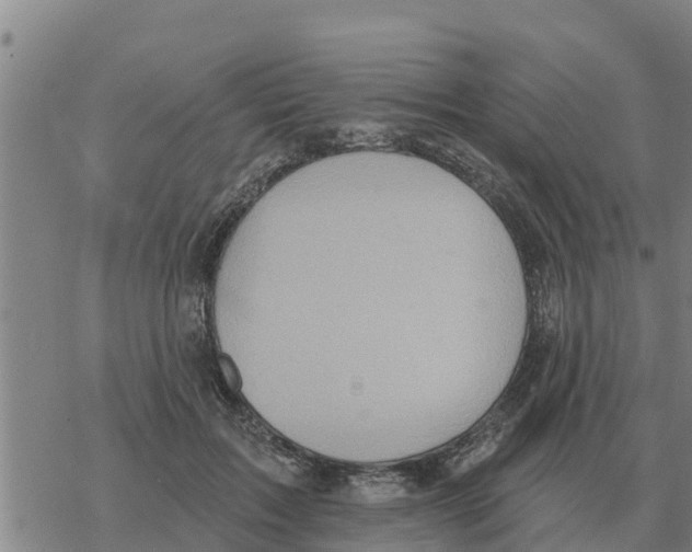 X0000068740603200605262052