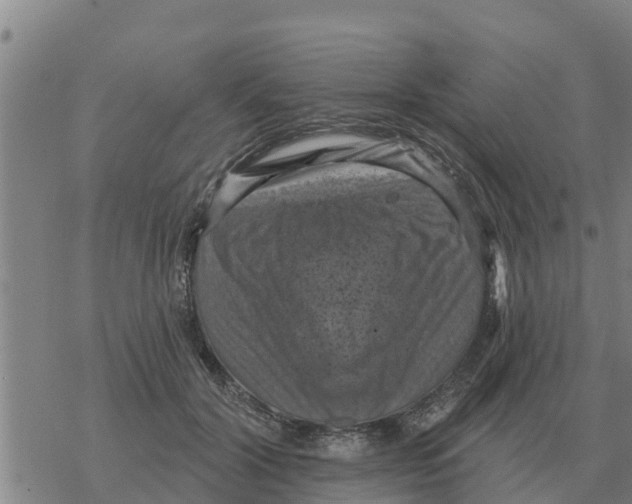 X0000068740604200605262052