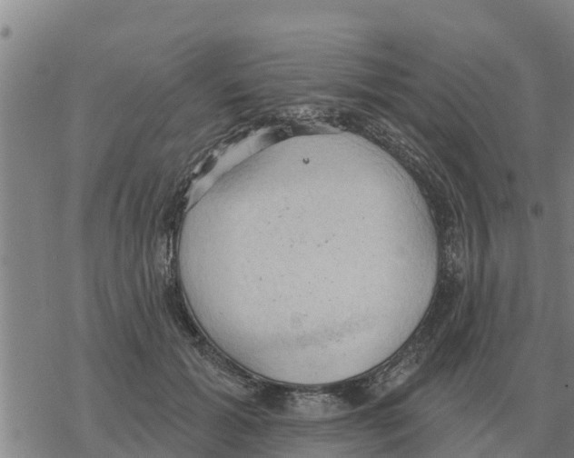 X0000068740605200605262052