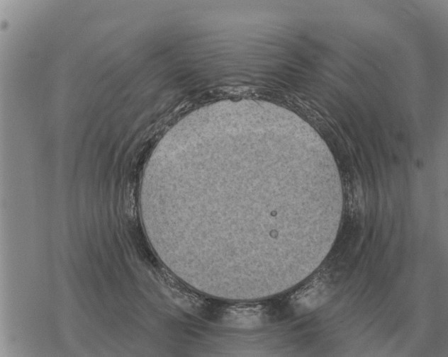 X0000068740606200605262052