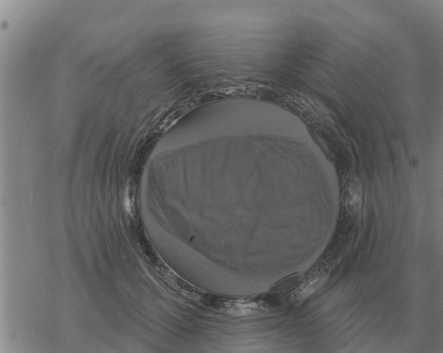 X0000068740607200605262052