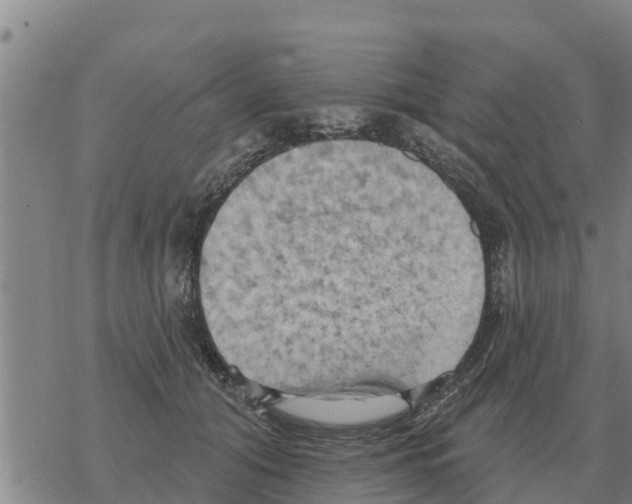 X0000068740608200605262052