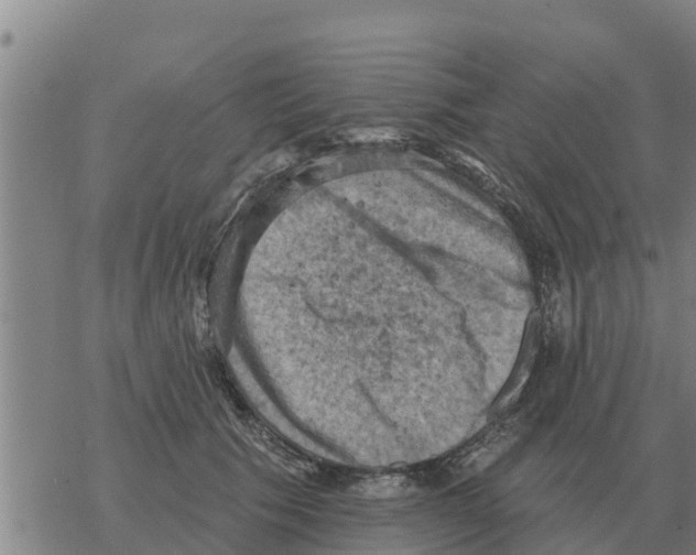 X0000068740609200605262052