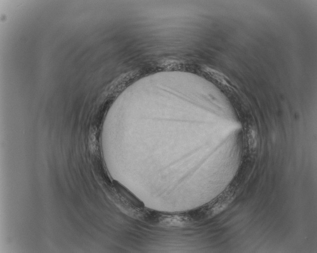 X0000068740611200605262052