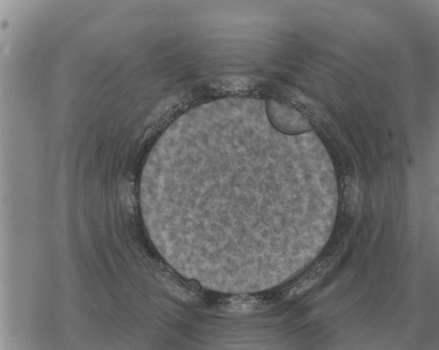 X0000068740612200605262052