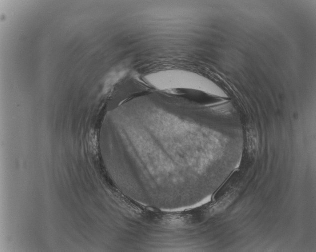 X0000068740613200605262052