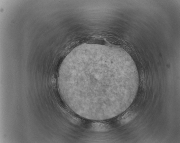 X0000068740614200605262052