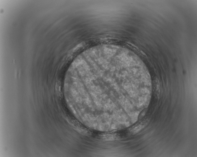 X0000068740615200605262052