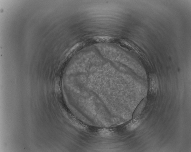 X0000068740616200605262052