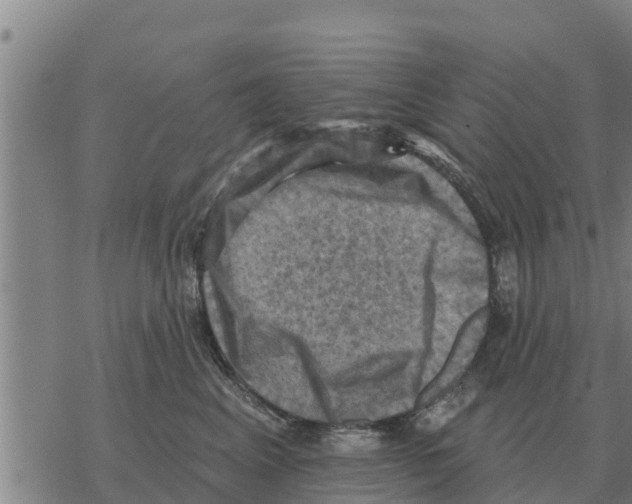 X0000068740617200605262052