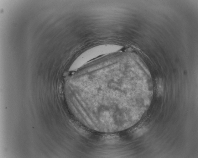 X0000068740619200605262052