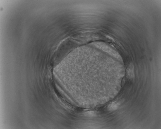 X0000068740620200605262052