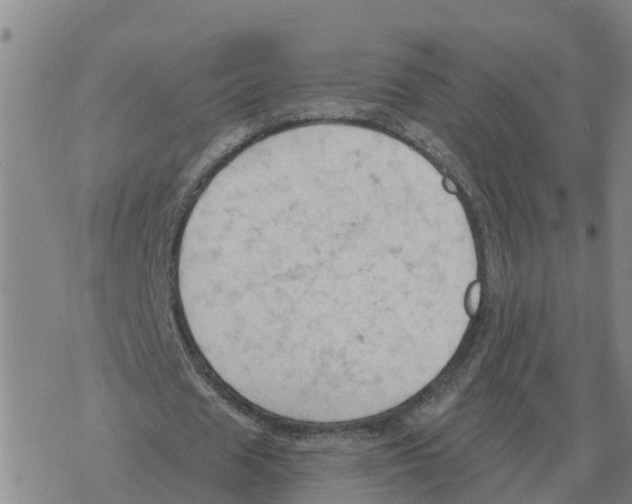 X0000068740625200605262051