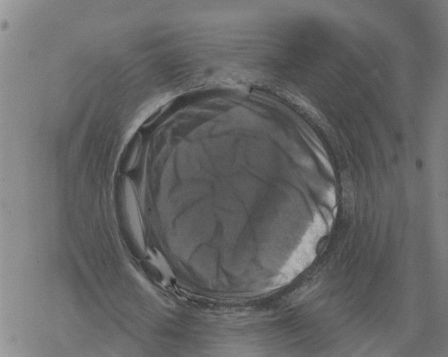 X0000068740626200605262051