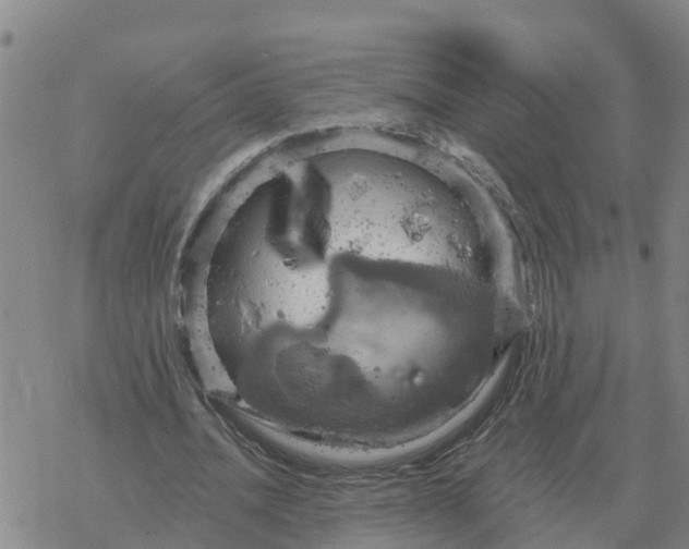 X0000068740628200605262051