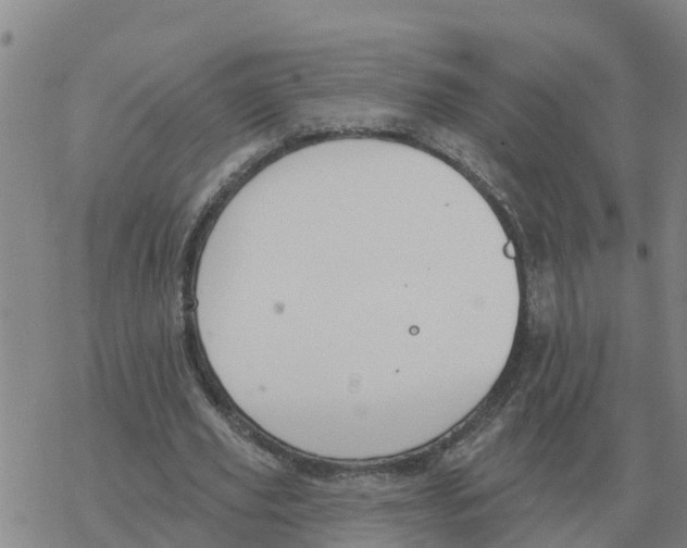 X0000068740629200605262051