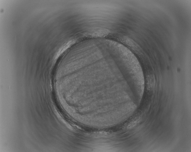 X0000068740634200605262051