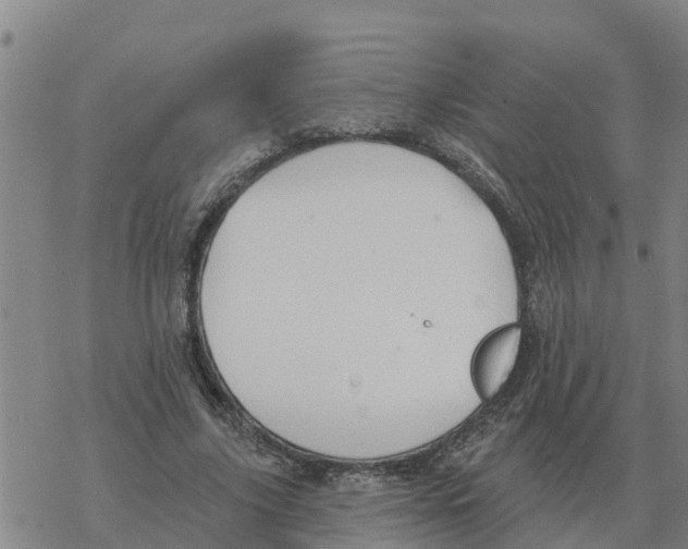 X0000068740635200605262051