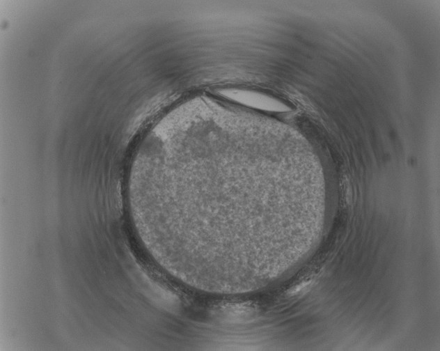 X0000068740638200605262052