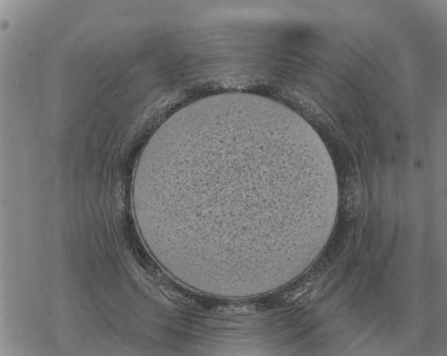 X0000068740639200605262052