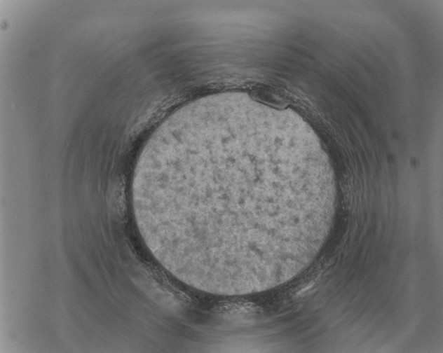 X0000068740642200605262052