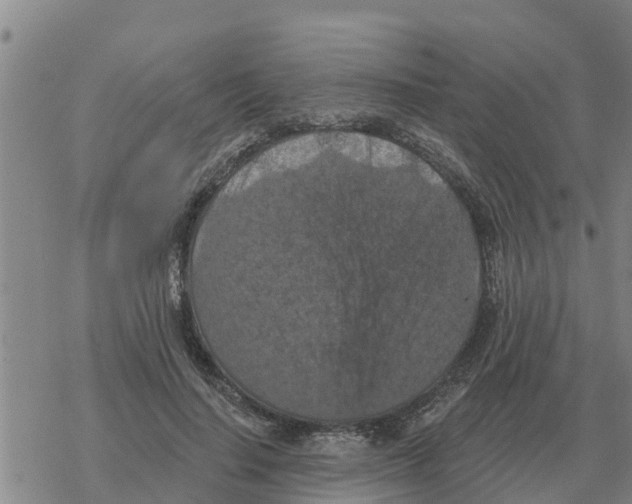 X0000068740644200605262052