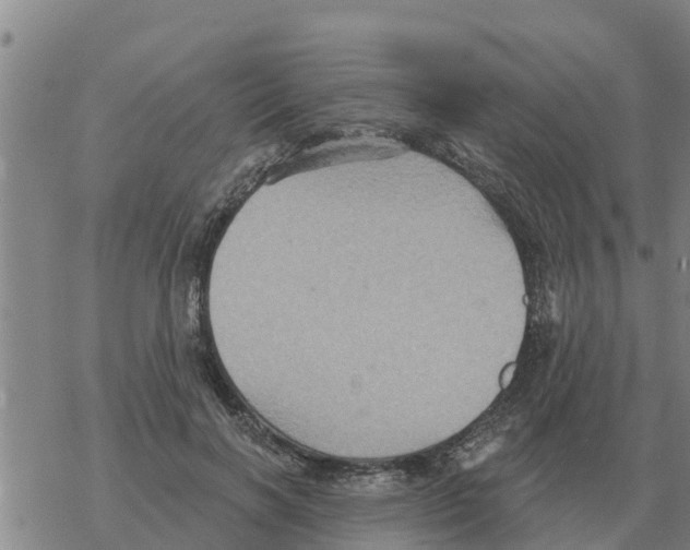 X0000068740646200605262052