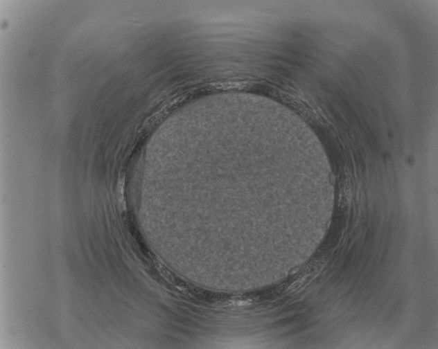 X0000068740647200605262052