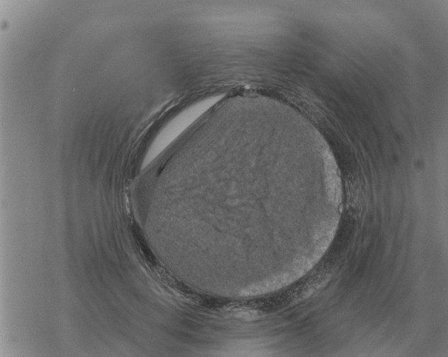 X0000068740648200605262052