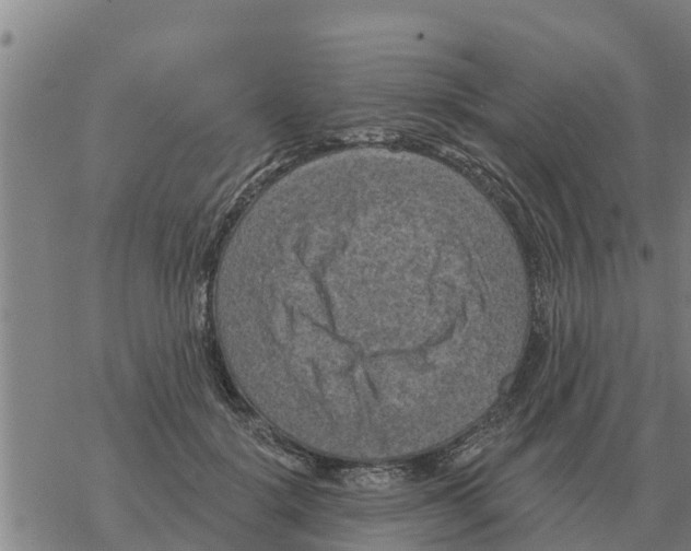 X0000068740652200605262052