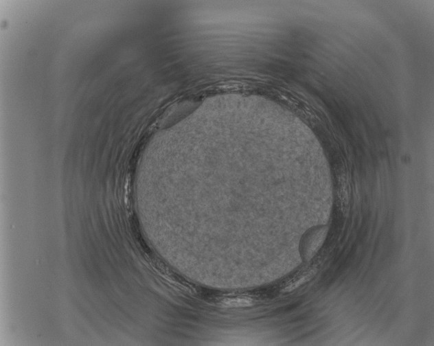 X0000068740653200605262052