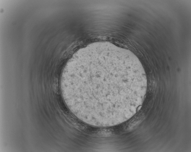 X0000068740656200605262052