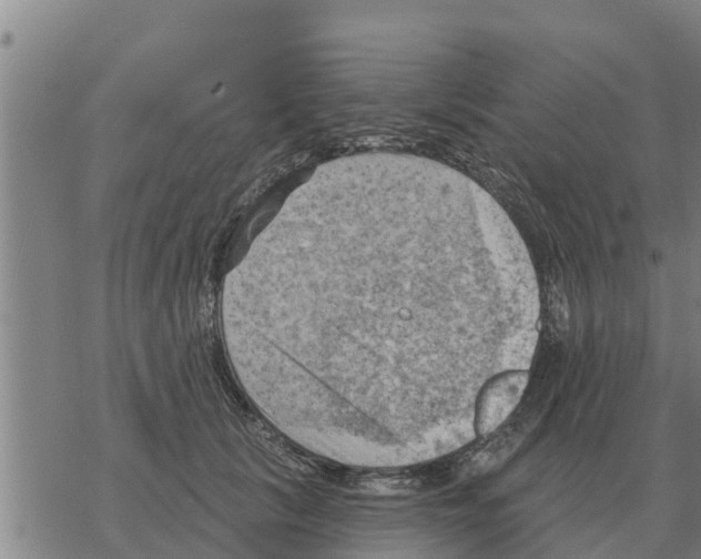 X0000068740657200605262052