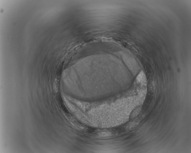 X0000068740658200605262052