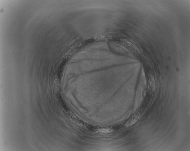 X0000068740659200605262052