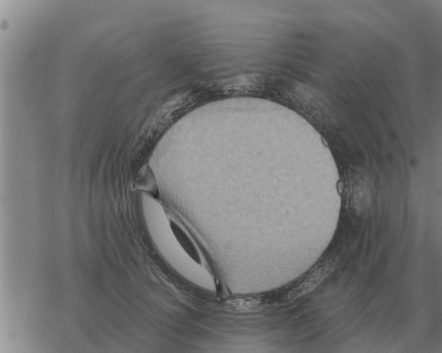 X0000068740660200605262052