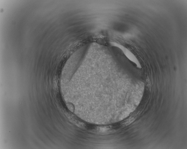 X0000068740662200605262052