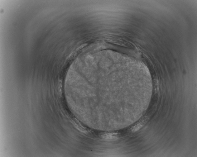 X0000068740664200605262052